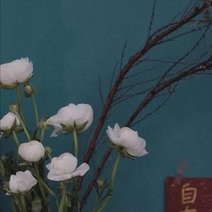 女人喂男人奶乳视频
